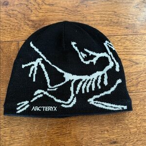 NWOT~ Arcteryx Beanie